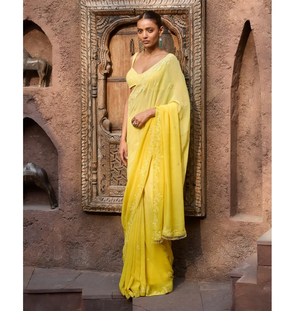 Camellia Ombre Chikankari Sari Set