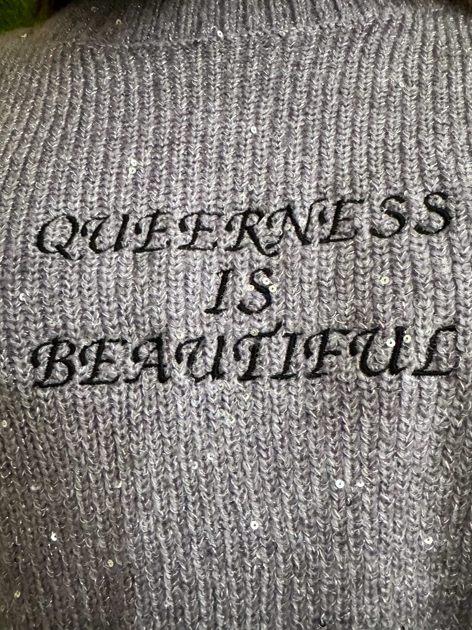 Queerness is Beautiful Sparkly Cropped Sweater 2XL