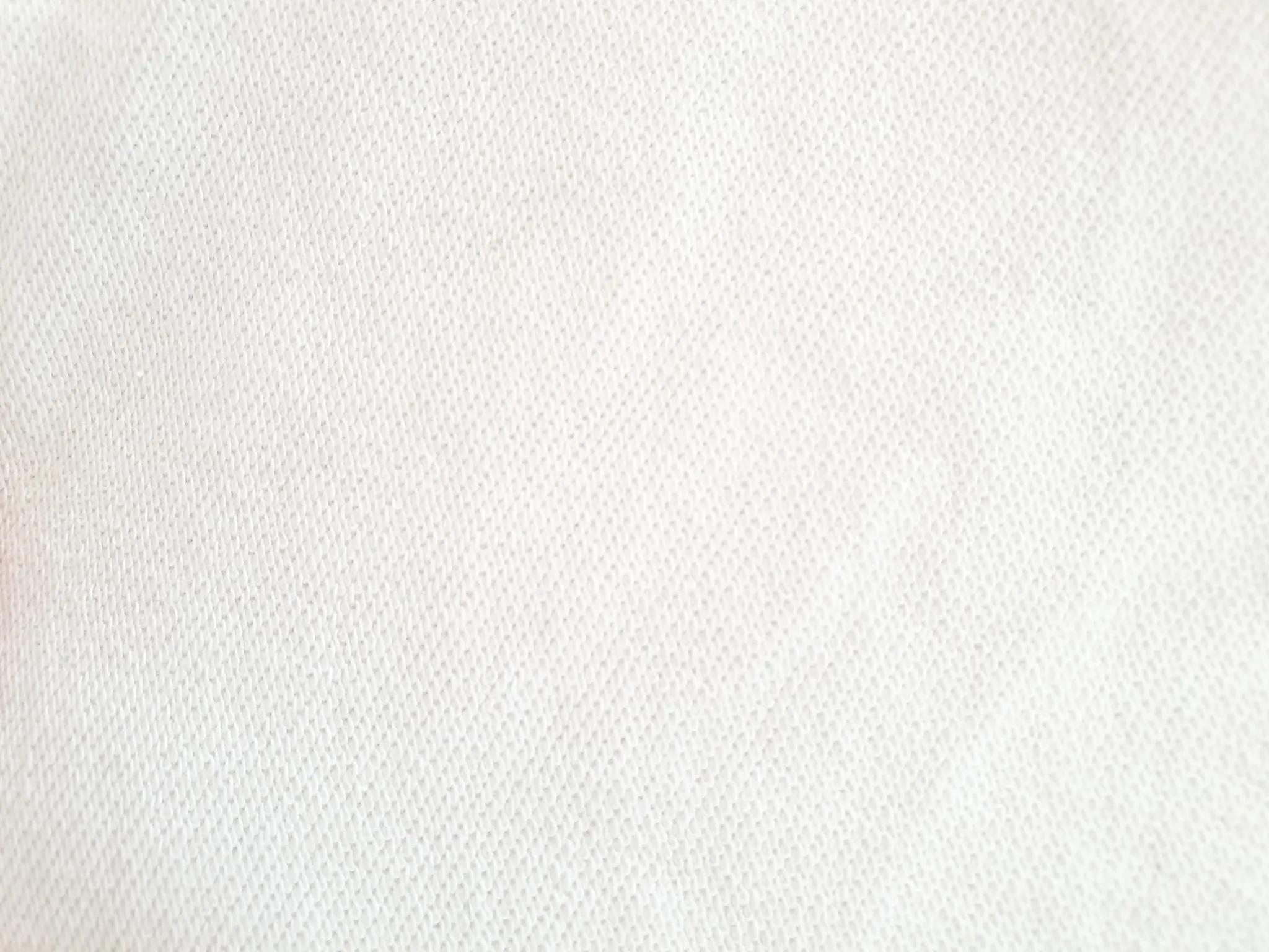 Scepter Trainers - White